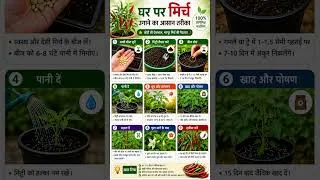 Thumbnail: How to Grow Chilli Plant at Home 🌶️ | Get 500+ Chillies on One Plant! #garden #mirchi