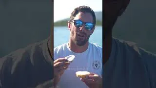 Thumbnail: I Tried the Freshest Oysters on Earth 🦪