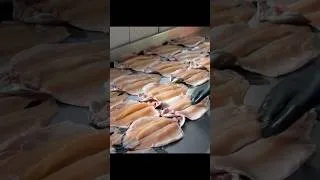 Thumbnail: Amazing Trout Fish Farm From Egg to Grill | Turkish Street Foods