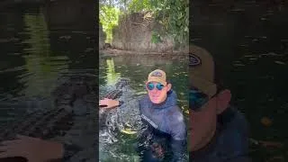 Thumbnail: Gator attack in the springs update, she lost her arm