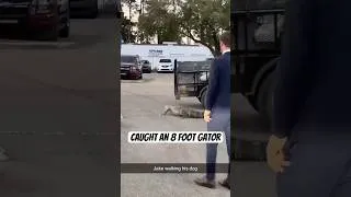 Thumbnail: Walking my Swamp Puppy (8 Foot Gator Capture)