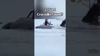 Thumbnail: 25 Foot Crocodile Found, Port Blair Giant