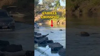 Thumbnail: Crocodiles vs Car! #animalshorts #crocodiles #shortsfeed