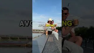 Thumbnail: AVOID Kyoto Japan - OVERRATED