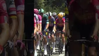 Thumbnail: Die Magie des Pelotons 🪄🚴🏻‍♂️ #tourdefrance #tdf #shorts #peloton