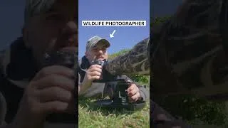 Thumbnail: UNBELIEVABLE Wildlife Photography Moments I've Captured