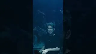Thumbnail: BOILER ROOM IS A VIBE! 🕺🪩 #hardstyle #bootshaus #hardbrake #rawstyle #anderex #gearboxdigital