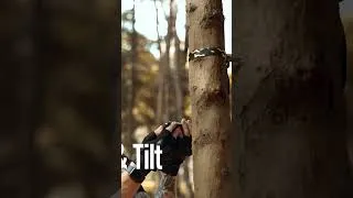 Thumbnail: REOLINK WILDLIFE CAMERA #shortfeeds #campping #survivalgear #reolink