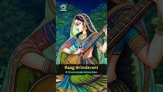 Thumbnail: Raag Brindavani - Sitar Indian Classical Music