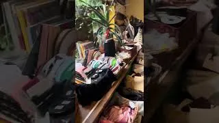 Thumbnail: Forest Recycling Project - fabric thrifting in Walthamstow