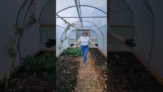 Thumbnail: The polytunnel was getting out of hand… so this reset was today’s one job 🌱#Reset #OneJobAtATime
