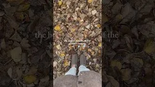 Thumbnail: the ber’ months are almost here 🍂 #autumm