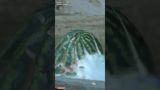 Thumbnail: Eksplozja Arbuza w 3500 FPS #slowmotion #slowmo