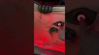 Thumbnail: Zombie finger poke (House of the Dead Scarlet Dawn - SEGA)