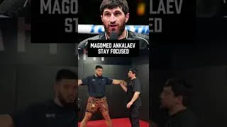 Thumbnail: Stay focused | Magomed Ankalaev #shorts #viral
