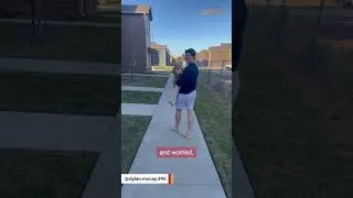Thumbnail: Couple's amazing response to injured dog