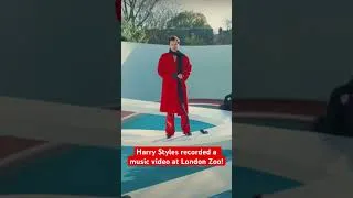 Thumbnail: Harry Styles Recorded a Music Video at London Zoo! #shorts