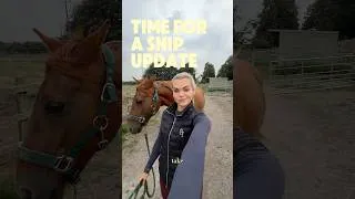 Thumbnail: An over due Snippy update 💛