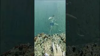 Thumbnail: Walking at the bottom of the Barracuda Lake in The Philippines