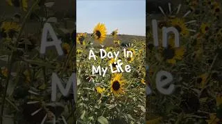Thumbnail: day in the life 🌻 #retirement #coupletravel #montana #dayinmylife