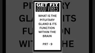 Thumbnail: What is the Pituitary Gland & Hypopituitarism - Prt 9 #shorts #hypopituitarism #pituitarygland