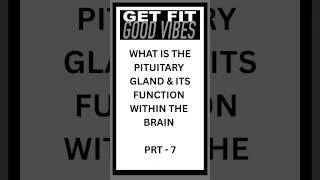 Thumbnail: What is the Pituitary Gland & Arginine Vasopressin - Prt 7 #shorts #arginine #vasopressin #brain