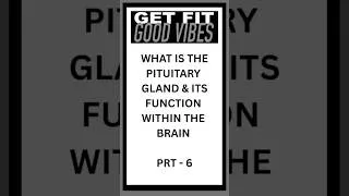 Thumbnail: What is the Pituitary Gland & Cushings Syndrome ? - Prt 6 #shorts #cushingsdisease #cushingsyndrome
