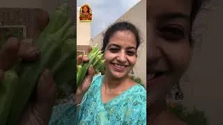 Thumbnail: Harvest ki Respect 🙏 An Emotional Journey 🌿