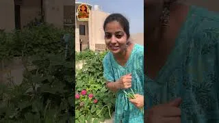 Thumbnail: Super Fast Vegetable | Grow Lobia in June-July 🌿
