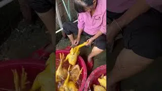 Thumbnail: Everyone says they only see you raising chickens but never see how your chickens are