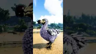 Thumbnail: Dodo