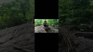 Thumbnail: Girl survives alone in the forest #survival #shelter