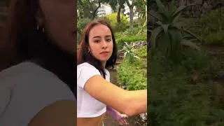 Thumbnail: What Does Culture Mean To You Competition Winners