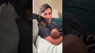 Thumbnail: Puppy Reacts To Meeting Baby For First Time ❤️