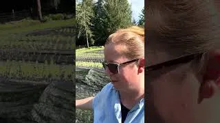 Thumbnail: Farm & video update! #flowerfarm #helpmemakethismakesense #pnwgarden