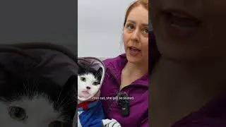Thumbnail: Worst Cat Freakout of my Career 😬