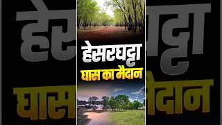 Thumbnail: Hesarghatta Grassland || Tropical Dry savannah Grassland | Vivek Yadav Sir
