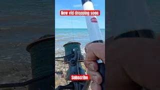 Thumbnail: Its TOPE time 🦈