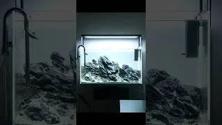 Thumbnail: A new Iwagumi aquascape