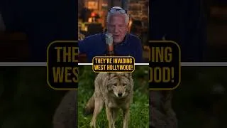 Thumbnail: California Brought This On Themselves...