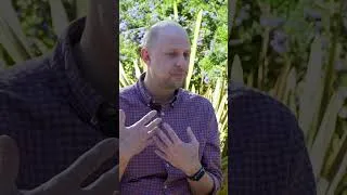 Thumbnail: AI & LLMs: The Future of the Silence Industry #shorts