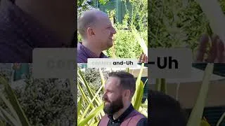 Thumbnail: Predicting the Next Industrial Revolution #shorts