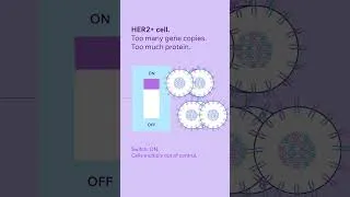 Thumbnail: HER2 in Colorectal Cancer: What Advocates Should Know
