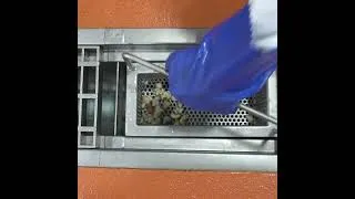 Thumbnail: Trench Drain Strainer Baskets