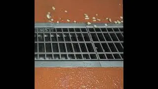 Thumbnail: High Volume Trench Drain