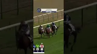 Thumbnail: RABBIT’S FOOT🐰wins the Prix Alec Head🥇