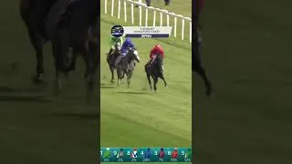 Thumbnail: COPPULL wins the Hungerford Stakes😎🥇👌🏻