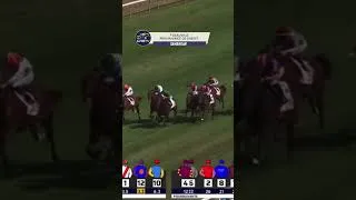 Thumbnail: SAMANGAN wins the G1 Prix Maurice de Gheest😎🥇👏🏻