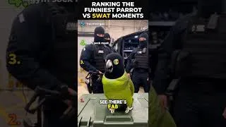 Thumbnail: This Parrot Has No Respect for the SWAT Team 🦜 | Top 5