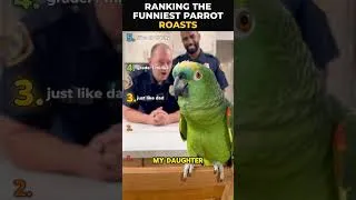 Thumbnail: ⭐ This Parrot Roasts Everyone 🦜💀 (Top 5)